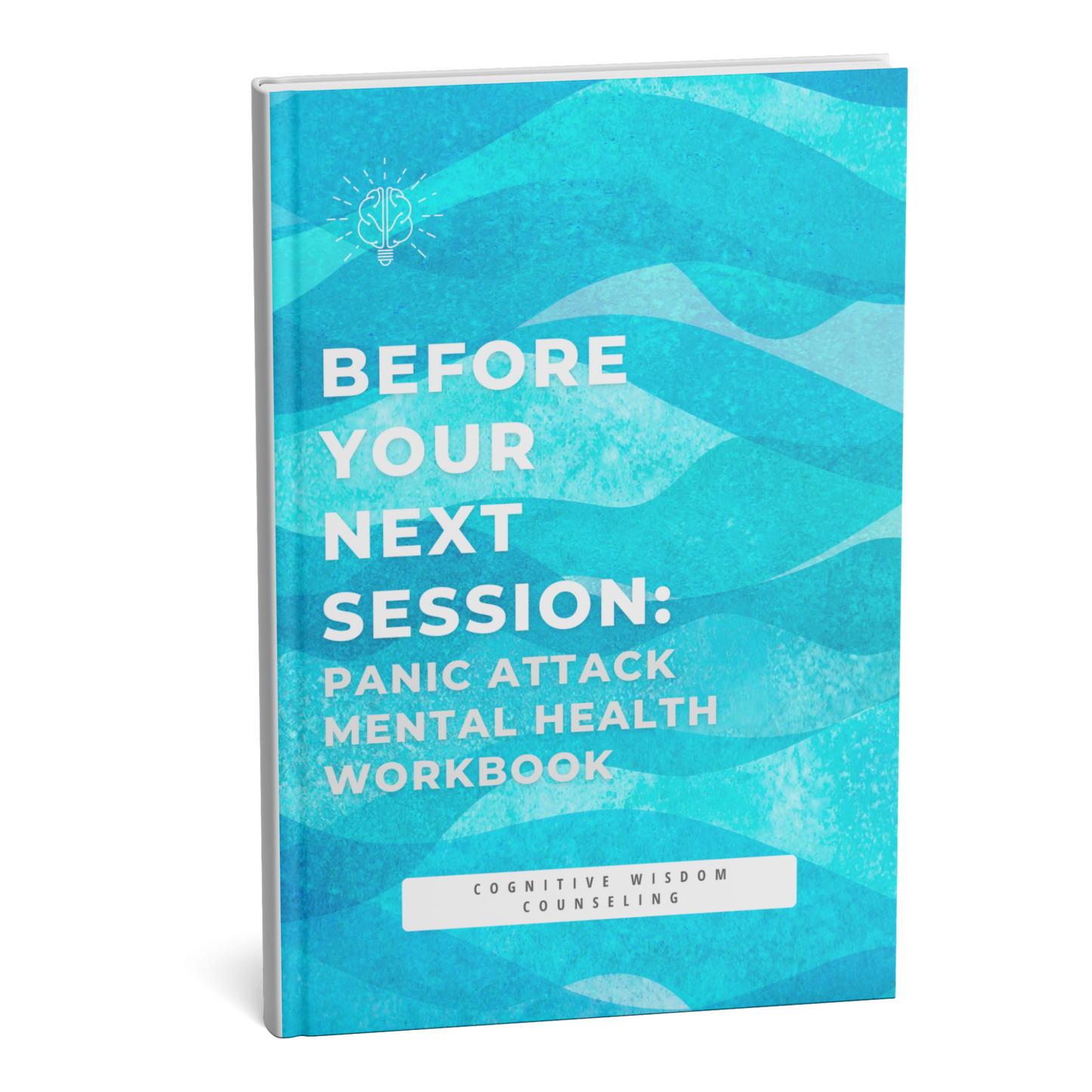 panic attack and panic disorder mental health workbook